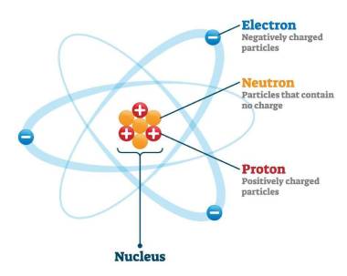 мужские протоны женские электроны